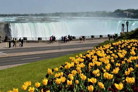 From Toronto to Niagara Falls Private Sightseeing Tour