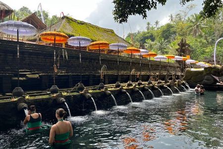 Ubud: Temple, Monkey Forest, Rice Terrace and More Include Ticket