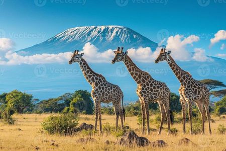 3 Days 2 Nights Private Tour to Amboseli National Park