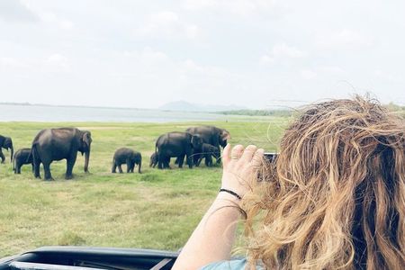 Explore Sri Lanka in 7 Nights 8 Days