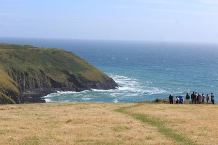Private Wild Atlantic Day Tour from Cork
