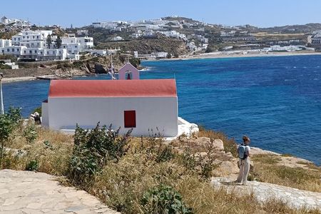Mykonos Half Day Highlights 4 hour Private Tour