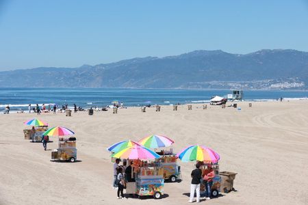 Grand LA Tour 7 Hour Open Bus Adventure from Santa Monica