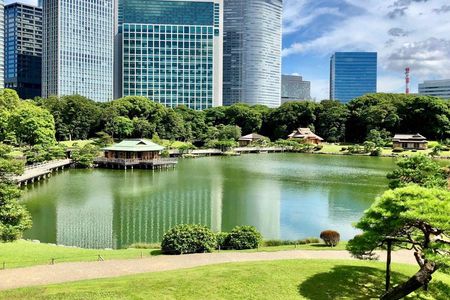 Tokyo Shogun & Edo Culture Private Car Tour