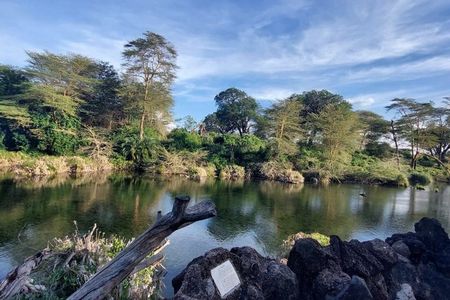 7 Days Tsavo East, Taita, Amboseli & Sanctuary Safari.