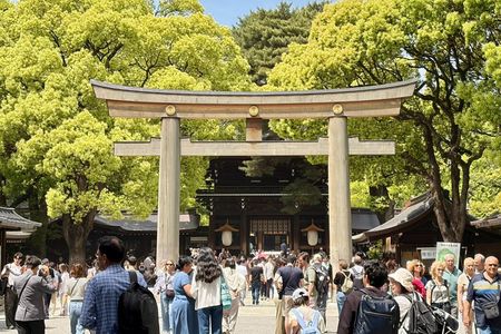 Tokyo Private Full-Day Car Tour with English-Speaking Guide