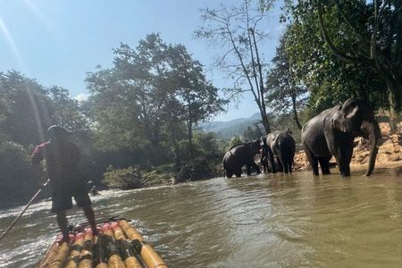 Elephant Sightings , Bamboo Rafting Through The Jungle, Swimming In a Waterfall