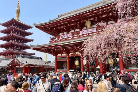 Tokyo Private Custom Tour: History & Highlights with Local Guide