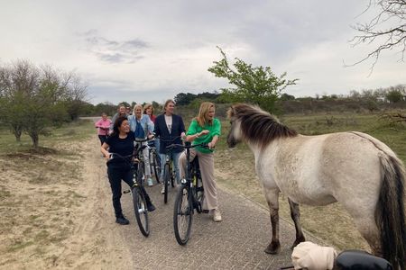 Bike Tour Haarlem | National Park | Dunes & Sea