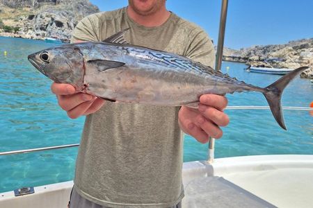ALL FAMILY FUN: Fishing & Swimming with BBQ on Boat (Small Group)
