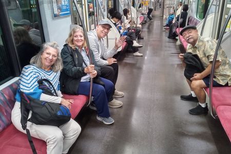 Best of Tokyo Private Tour for Yokohama Cruise Passengers