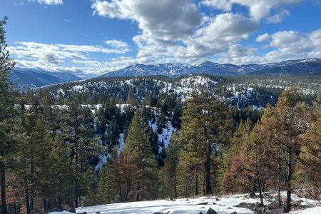 Blackfoot River Guided Tour Wildlife History and Conservation