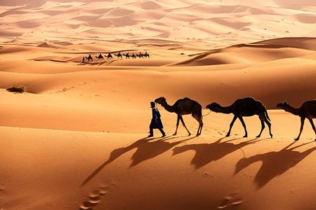 3-Day Private Sahara Desert Tour: Fes to Marrakech via Merzouga