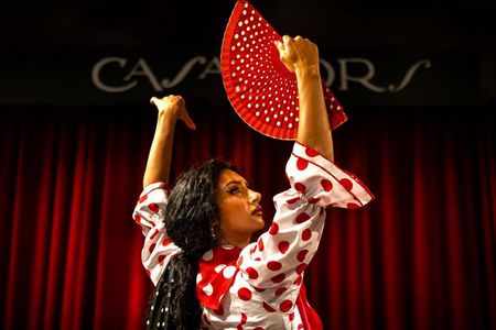 Barcelona Premium Flamenco Show: Tapas, Cocktail & Guitar Museum