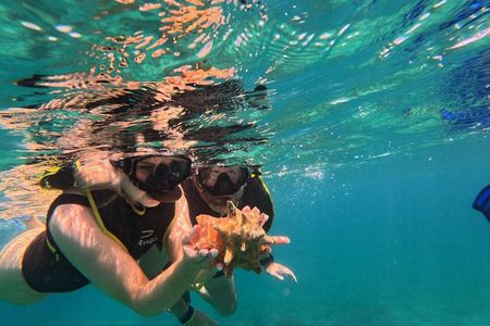 Turtle Snorkeling Experience in Vieques