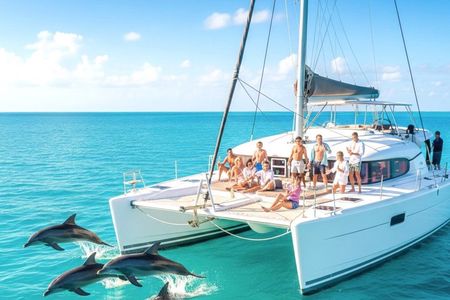MIAMI: Key West Dolphin Watch Tour