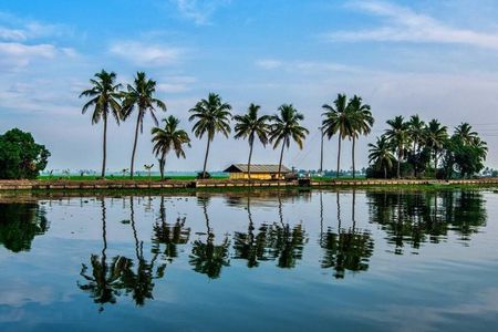 Cochin: 5-Day Kerala Tour with Houseboat and Wildlife
