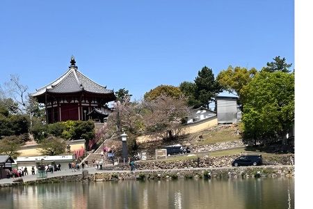 Nara Afternoon Sake Brewery Tour with an Expert Guide & Tastings