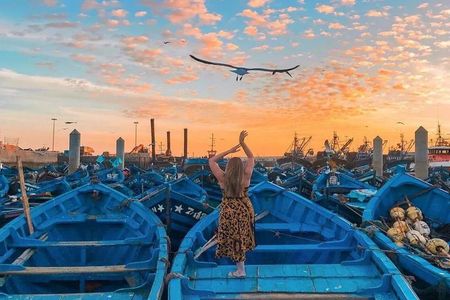 From Marrakech : 1-Day Group Trip To Essaouira