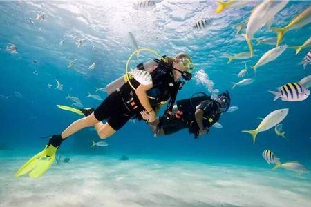 Boracay Diving w/ Pictures & Video or Fun Dive