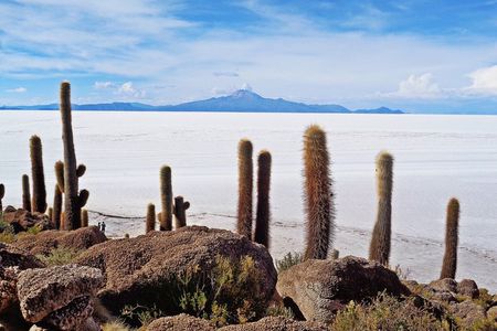 Salar de Uyuni and Lagunas Tour 2 Days 1 Night