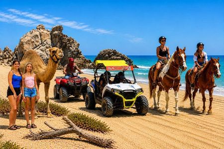 Los Cabos: Choose 2 – ATV, Razor, Camel interaction or Horseback