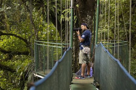 Tenorio Rainforest Hanging Bridges, waterfall and Sloth Encounter