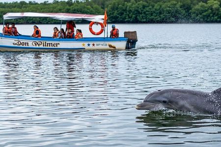 Full Day Tour Mangroves Dolphins and Cocoa Farm from Guayaquil