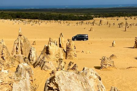 Small group 4WD Pinnacles Desert & Sand Boarding Adventure