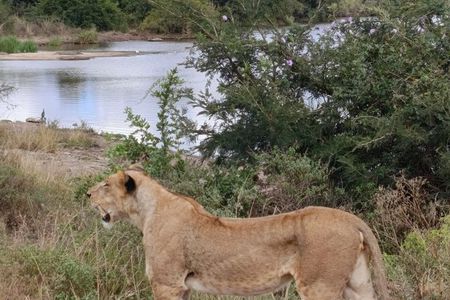 3-Day Masai Mara Private Luxury Safari