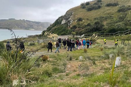 Behind The Scenes + Blue Penguins Pukekura Experience Tour