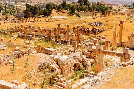 Private Full Day Tour to Jerash, Madaba, and Mount Nebo from Amman