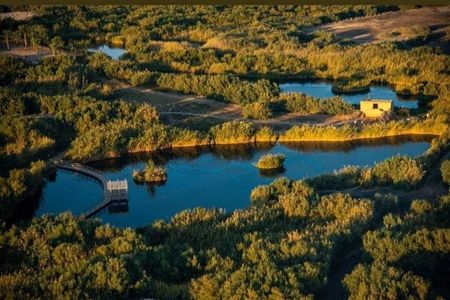 Private Tour of Desert Castles Eastern Jordan with optional Azraq Wetland Visit