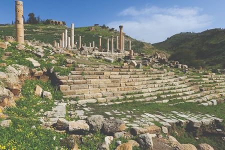 Private Half-Day Pella Tour from Amman