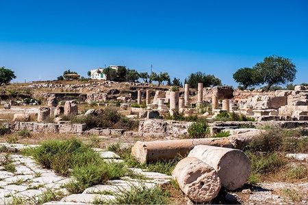 Private Day Tour to Umm Qais from Amman with Optional Hiking Trail