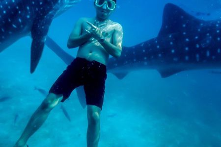 Cebu:Oslob Whaleshark + Tumalog & Sumilon Sandbar (Hotel Pickup)