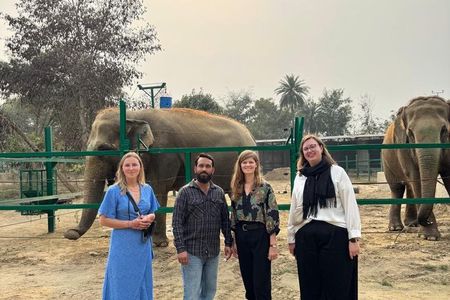 Private Taj Mahal & Wildlife SOS Elephant Conservation Tour