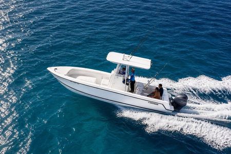 The Private Escape to Saona – A Speedboat Just for You