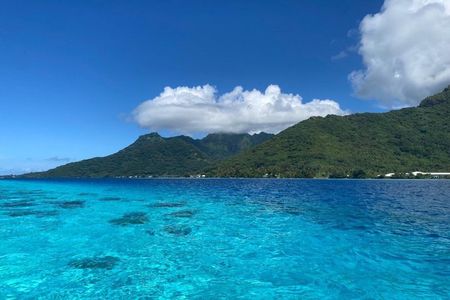 Scuba Diving Baptism in Moorea with Ia Ora Diving