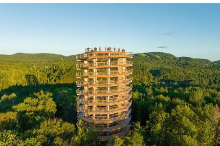 Treetop Observatory and Walk