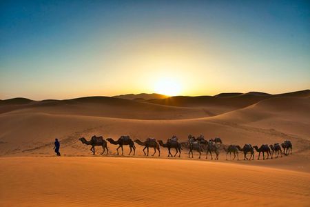 10-Day Morocco Private Tour from Casablanca via Chefchaouen Fes