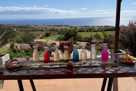 Herbal Tea Tasting Tour at Maui Dragonfruit Farm
