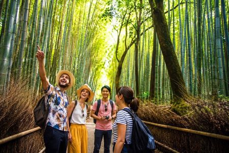 Kyoto Arashiyama Walking Tour: Bamboo, Monkeys, Garden & Secrets