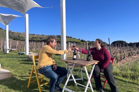 Wine Tour from Cagliari - Visit the vineyard and wine tasting