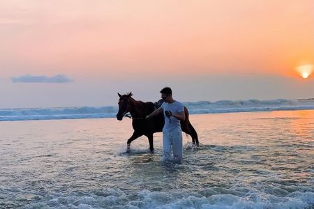 Sunset Seminyak Horseback Riding In The Beach Experience
