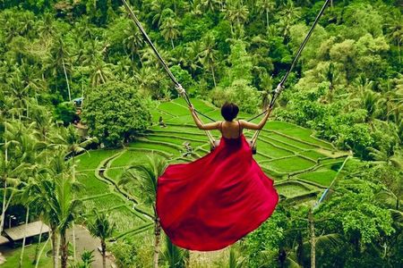 Ubud: Monkey Forest, Jungle Swing, Rice Terrace and Water Temple