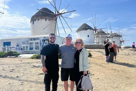 Mykonos Half Day Highlights 4 hour Private Tour