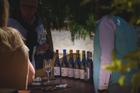 Alcohuaz Signature Wine Tasting