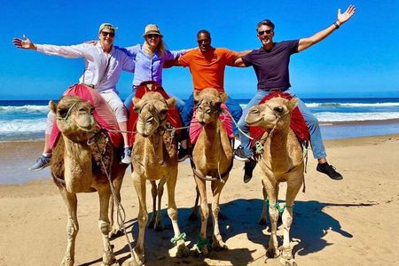 Exclusive Tangier 4-Hour Private Experience & Camel Ride