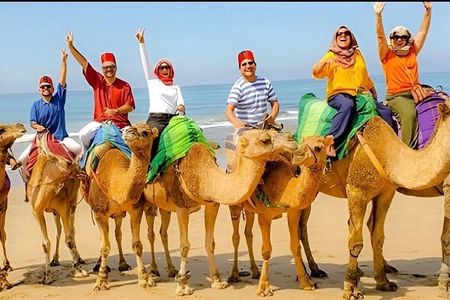 Luxury 4-Hour Private Tangier